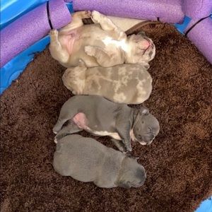 Meet your Posher, Adolfo